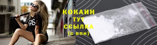 крисы Арсеньев