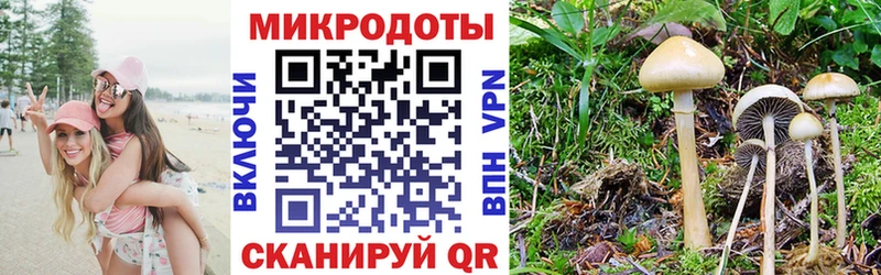 Псилоцибиновые грибы ЛСД  блэк спрут как войти  Лесной 